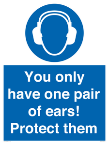Mandatory: You only have one pair of ears! Protect them